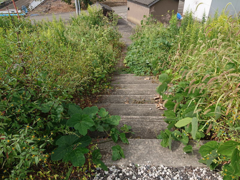 階段除草剤散布
