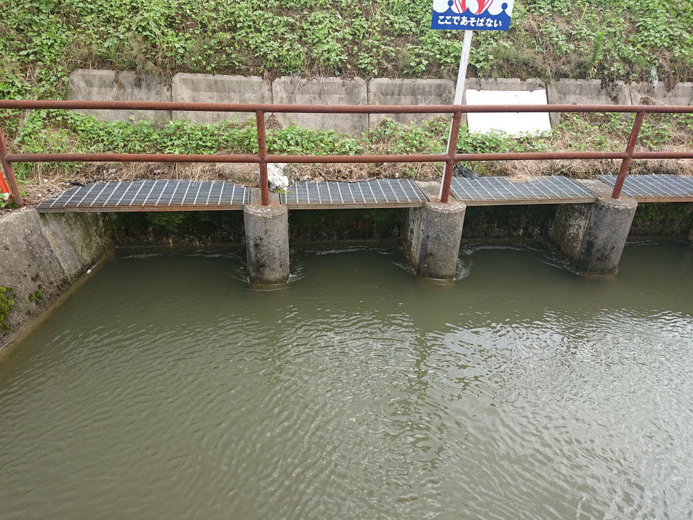 6月20日作業後