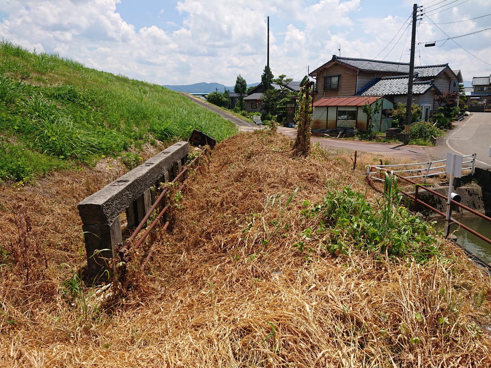 7月23日除草剤散布後の確認