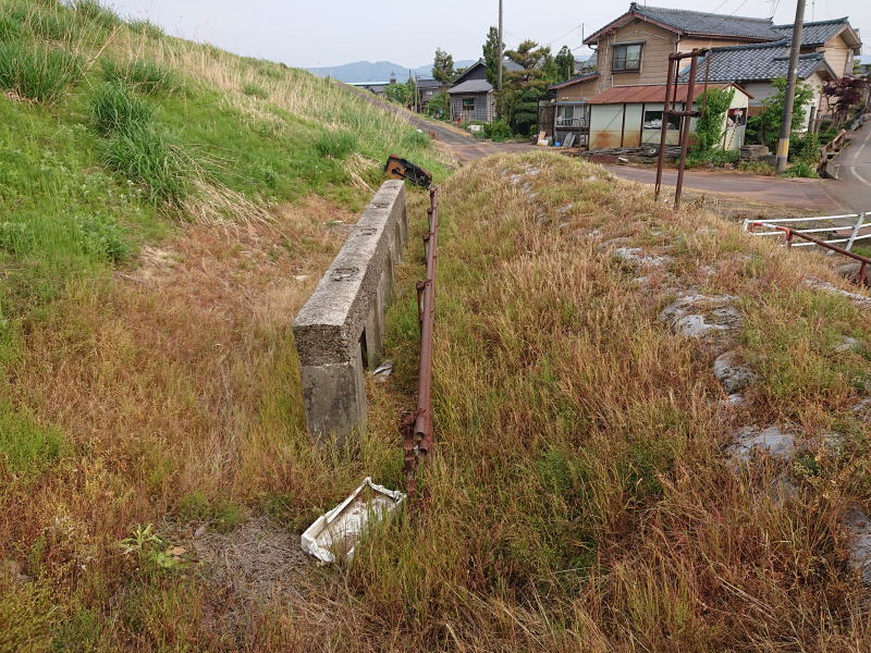 5月11日除草剤散布後の確認